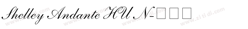 Shelley Andante HU N字体转换